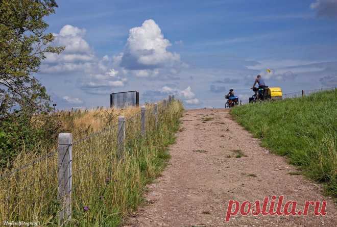 Biking in the Biesbosch
