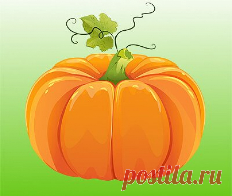 Огород моей мечты - Заметки | OK.RU Огород моей мечты. 40 лет. Место проживания - Россия. Заметки.