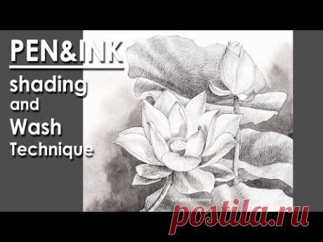 Pen and Ink Drawing : How to Shade a Lotus | applying watercolor wash technique
