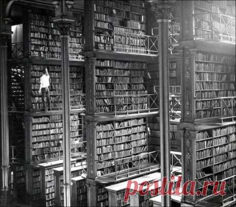 Мужчина снимает книгу с полки в главной библиотеке Цинциннати, 1874 год / Одноклассники