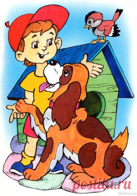 Летом на даче. Раскраски для детей 5-9 лет.