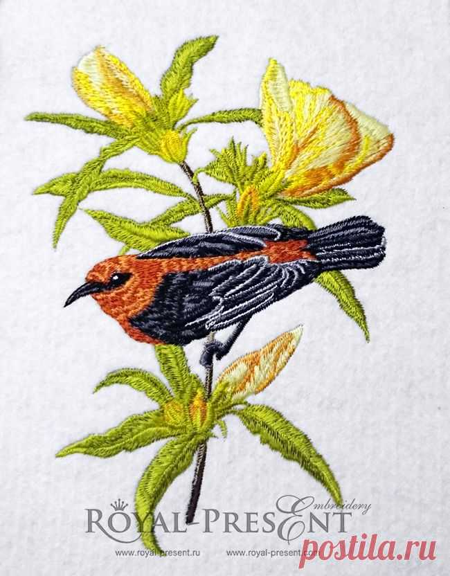 Дизайн машинной вышивки &#8212; Красивая австралийская птичка | Royal Present Embroidery