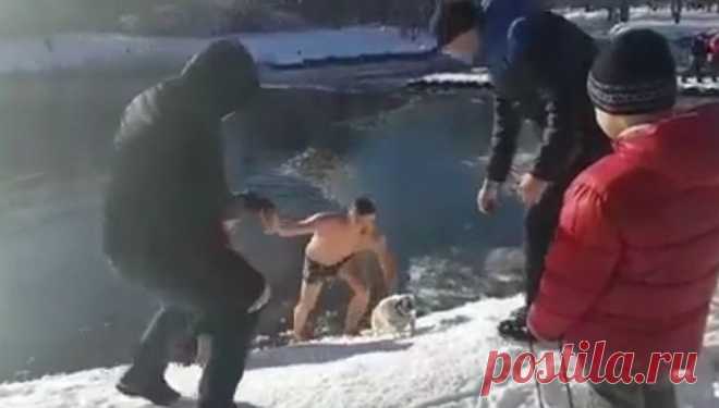 Крымчанин нырнул в ледяную воду ради спасения собаки | РИА Новости - события в России и мире: темы дня, фото, видео, инфографика, радио