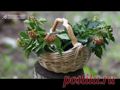 Ассиметричная корзинка с новым дном и ручкой-корягой