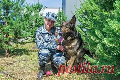 Пес из России впервые за 60 лет получил итальянскую премию «Собачья верность». Впервые за 60-летнюю историю итальянской премии «Собачья верность» эту награду получил пес из России по кличке Волк-Меркурий. Награждение прошло на главной площади городка Сан-Рокко-ди-Камольи, расположенного неподалеку от Генуи. Немецкая овчарка спасла от изнасилования 15-летнюю девочку.