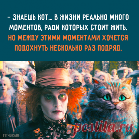 Фитнес для мозга добавил(-а) новое фото. - Фитнес для мозга