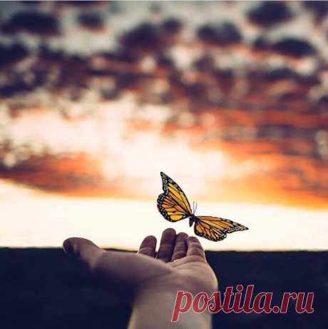 Жизнь научит прощать, но не забывать...Смотреть,но не видеть...Слышать,но не верить...Целовать,но не любить...Уходить и не возвращаться...