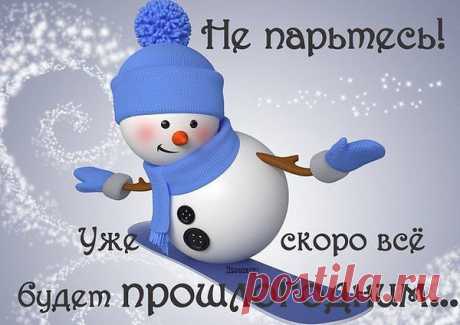 Популярные записи по теме «юмор»
