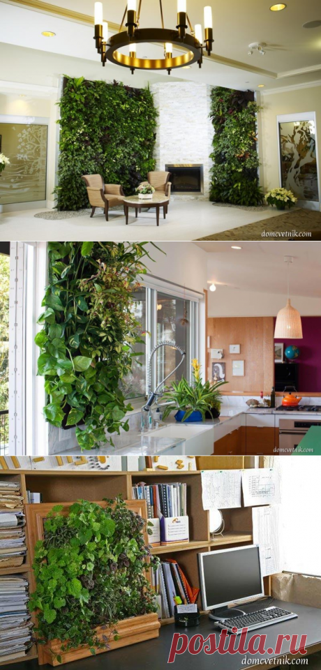 Растения в доме - &quot;живая стена&quot; в виде вертикальных садов | domcvetnik.com