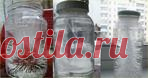 Способ обнаружения негативной энергии в квартире используя 1 стакан воды