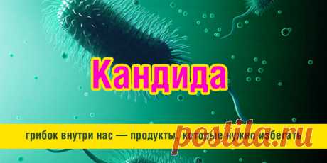 Кандида: грибок внутри нас — продукты, которые нужно избегать | Полезные советы