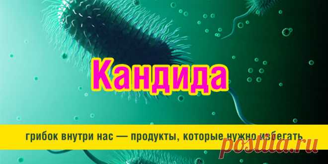 Кандида: грибок внутри нас — продукты, которые нужно избегать | Полезные советы
