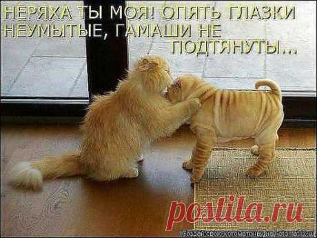 Одноклассники