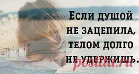 Красивые и мудрые цитаты Специально для наших читателей мы сделали подборку самых красивых и мудрых цитат.