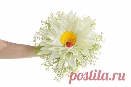 Мастер-класс: Красавица - лилимелия от Флорист.ру | Конфетный рай
