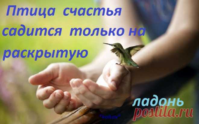 Птица счастья садится только на раскрытую ладонь