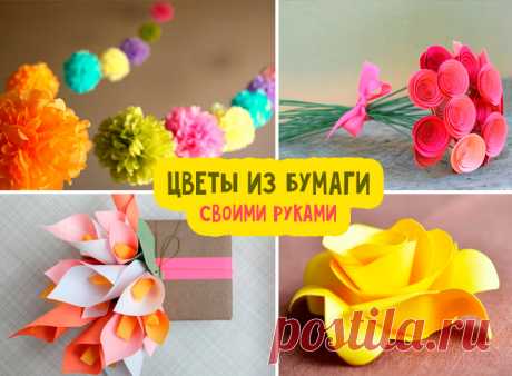 Цветы из бумаги своими руками: схемы и шаблоны Как сделать цветок из бумаги своими руками? Шаблоны и схемы цветов для вырезания из бумаги. Пошаговые мастер-классы с фото
