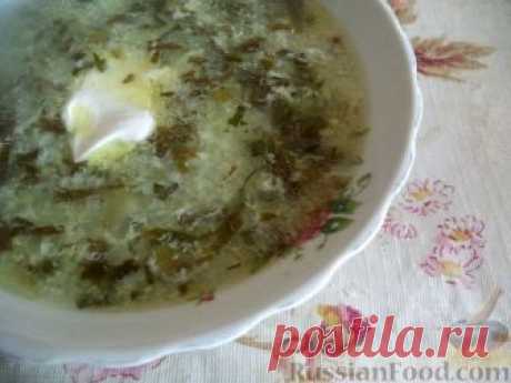 Рецепт: Зеленый борщ с щавелем без мяса на RussianFood.com