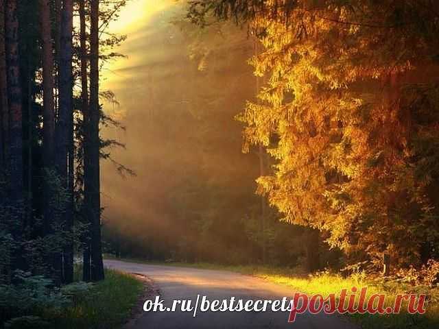 из тьмы мы вышли прямо в свет