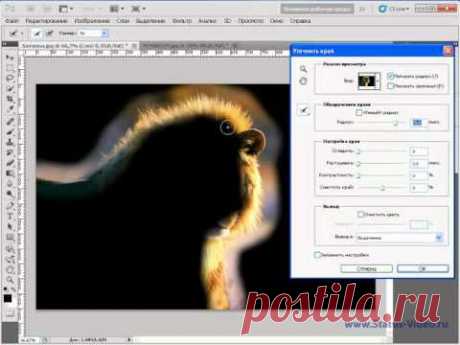 Новое в Photoshop CS5 - 6.Быстрое выделение волос.Видеоурок.