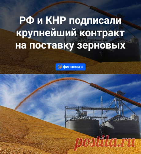 РФ и КНР подписали крупнейший контракт на поставку зерновых | 17 октября 2023 - Финансы Mail.ru
