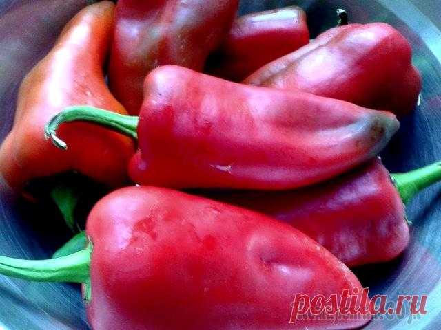 МОИ ЛЮБИМЫЕ ПЕЧЁНЫЕ ПЕРЦЫ ПОД МАРИНАДОМ.