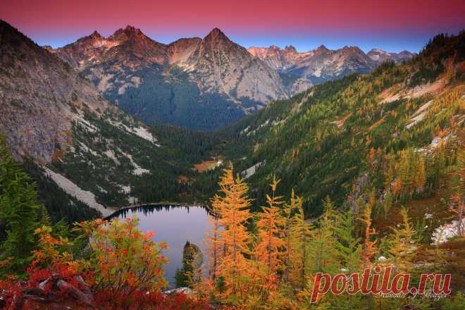 Alpenglow! “Put that in the Bank” Headed out to the north Cascades on Monday Night to film a new episode of “Out in the Field with Randall J Hodges” My little video series that captures me out in the field doing what I do. We had blue bird sky conditions, but a strong alpenglow saved the night with the final shot “Pow! Nailed That! That’s in the Bank!” It was such a beautiful afternoon with warm temps and beautiful fall color. It was also a “2 bear day”, as we saw two bear...