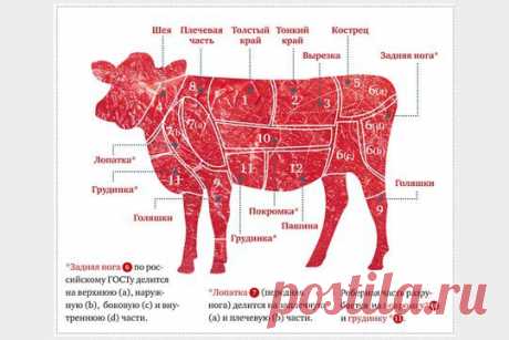 Разделка говядины: как выбрать говядину на Gastronom.ru