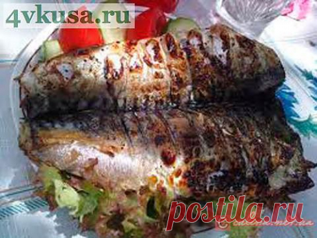 Шашлык из рыбы рецепты | 4vkusa.ru