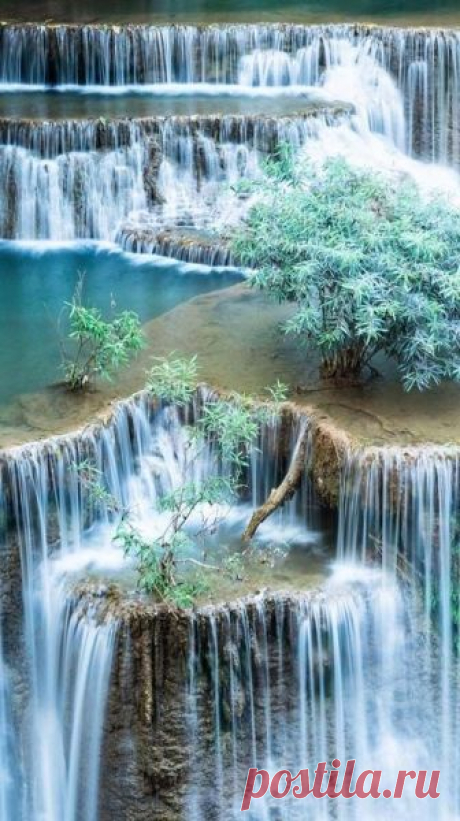 Pinterest (Pin) (157)