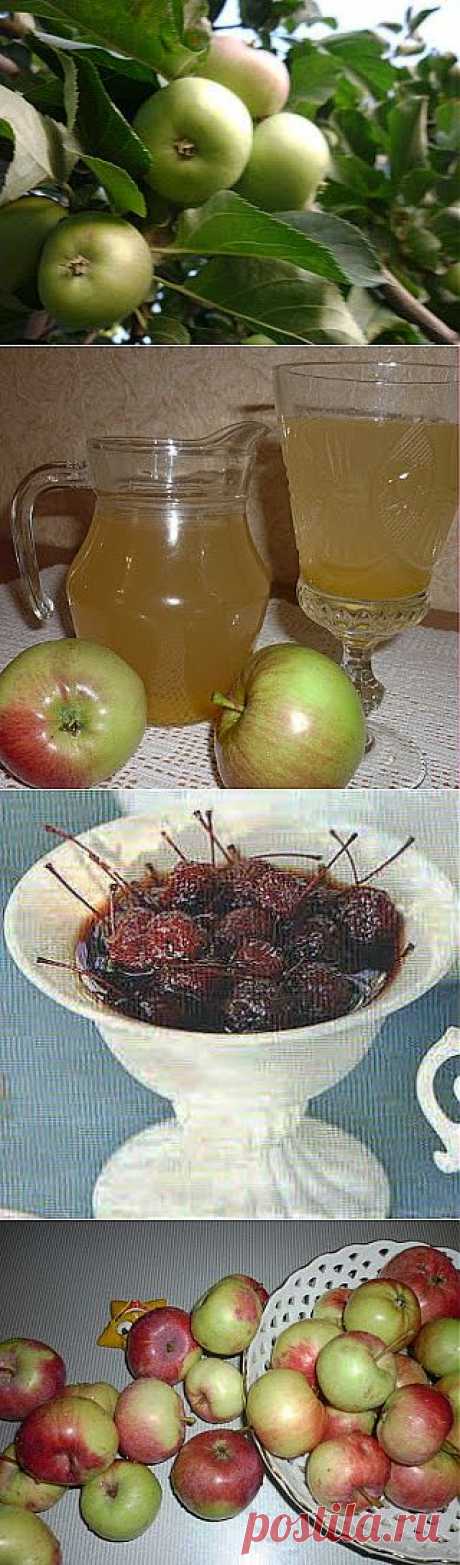 Домашние растения: Рецепты заготовок из ранних сортов яблок