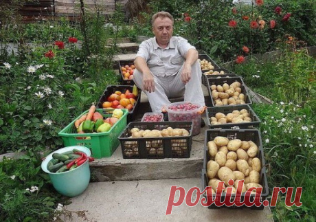 Новости - МирТесен