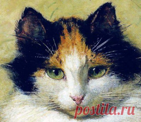 Коты и собаки от художницы Henriette Ronner-Knip | 5минутка