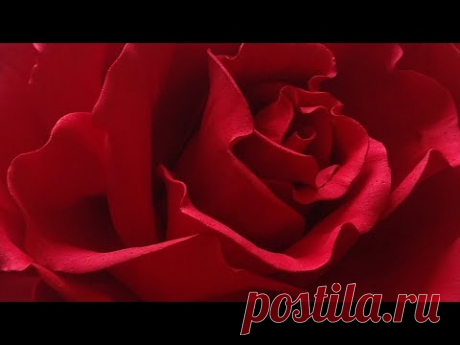 Роза d 35см для фотозоны из одного листа иранского фоамирана
