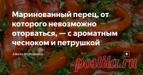 Маринованный перец, от которого невозможно оторваться, — с ароматным чесноком и петрушкой Из болгарского перца получаются очень вкусные заготовки на зиму. Маринованный перец с добавлением чеснока и петрушки – ароматная закуска, которая готовится очень просто: овощи измельчают на кусочки, проваривают в маринаде, раскладывают по банкам, добавляют порубленный чеснок, петрушку, заливают горячим рассолом и закатывают крышками.