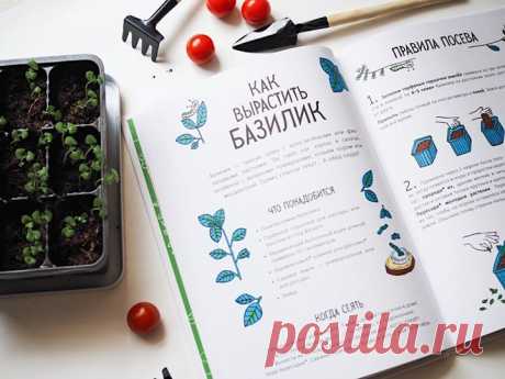 🌱 Выращиваем базилик по книге «Огород круглый год» Эта книга расскажет о том, как вырастить на своем балконе фрукты, овощи, зелень и ягоды. Она содержит пошаговые инструкции, интересные факты о растениях и советы по уходу за ними. Что понадобится • Пакетик семян базилика • Торфяные горшочки для рассады или баночки из-под йогурта • Керамический балконный ящик длиной примерно 50 сантиметров • Керамзитовые шарики для дренажа • Садовая земля — универсальная или для рассады • Лейка Правила посева…