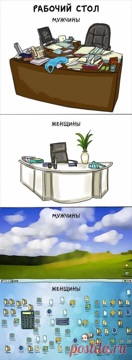 Чем отличаются друг от друга мужчины и женщины