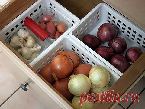 Отзыв о электрокультиваторе