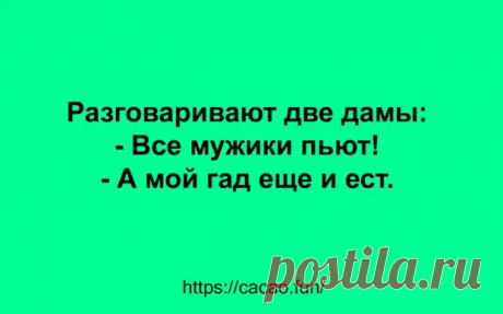 (34) Смешные анекдоты, которые наполнят вашу жизнь позитивом - Сказка для двоих - 5 февраля - 43778730784 - Медиаплатформа МирТесен