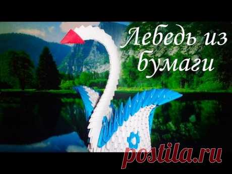 Модульное оригами! Лебедь из бумаги!