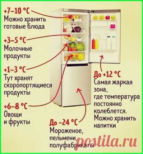 Пользуйтесь холодильником правильно!

Полезные советы для дачи