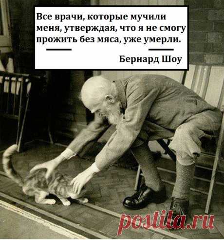 Что случится, если люди перестанут есть мясо — Наука и жизнь