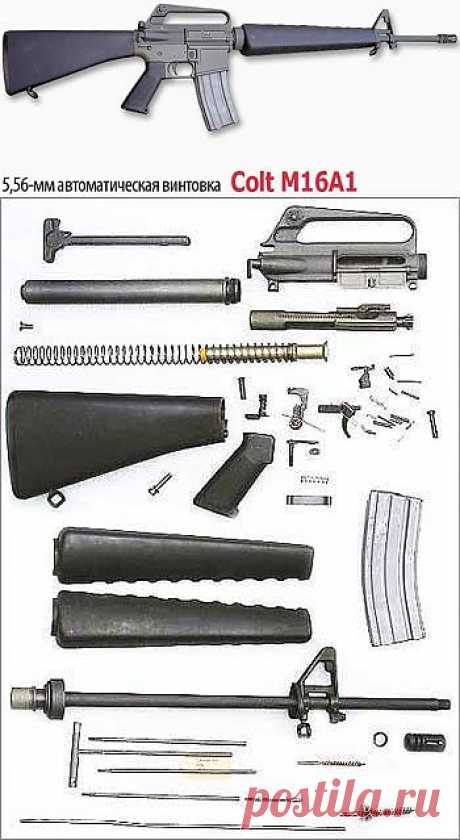 (+1) тема - 5,56-мм автоматическая винтовка Colt M16A1 | Энциклопедия оружия