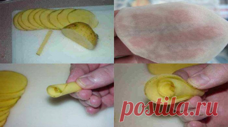 Розы из картошки
