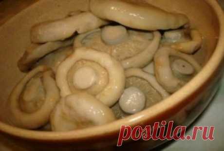 Грузди, соленые в бочке - пошаговый рецепт с фото на Повар.ру