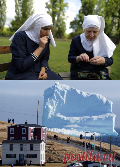 Удивительные фотографии прошедших недель