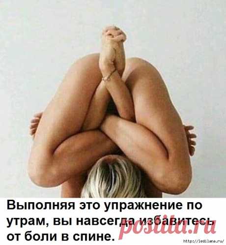 Афоризмы от Николая Фоменко 😂😂😂