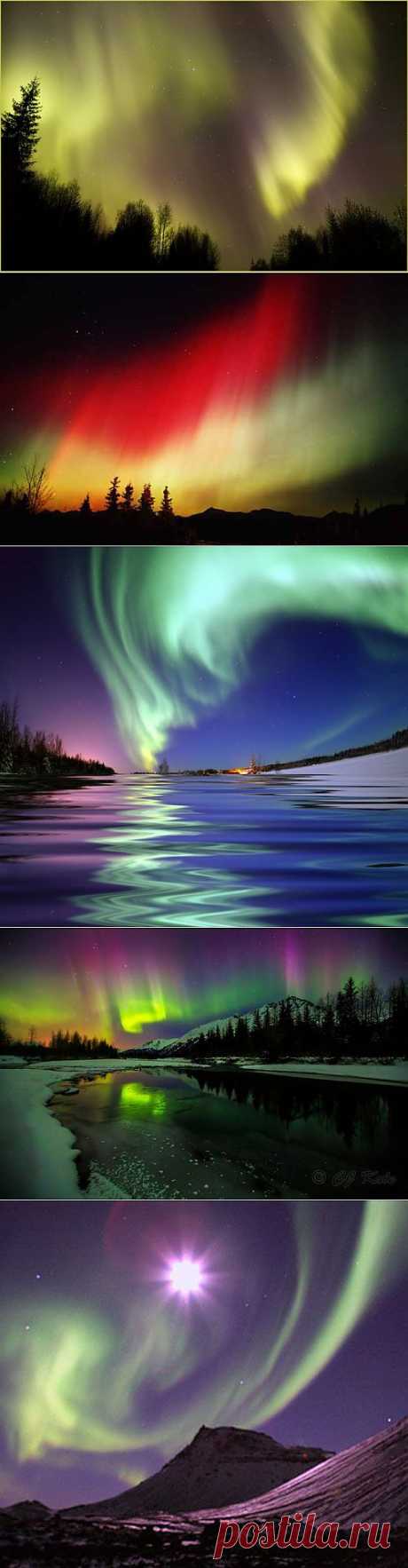 Северное сияние..== Шепот звезд-северное сияние в сильные морозы сопровождается звуком-шелестом.
Это чудо- чудное я наблюдала у нас на юге Архангельской области только однажды-цвет был зеленый.На этих фотографиях-вся палитра,снимки сделаны на Аляске и частично в Норвегии.