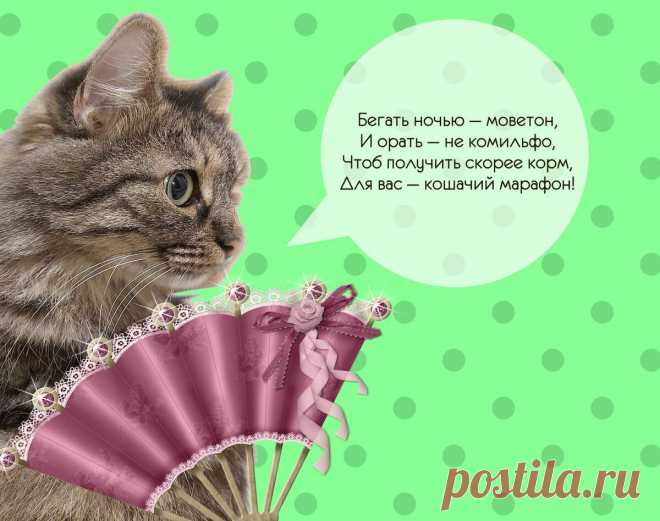 «Комильфо» и «моветон» – что означают эти модные словечки? | Рекомендательная система Пульс Mail.ru