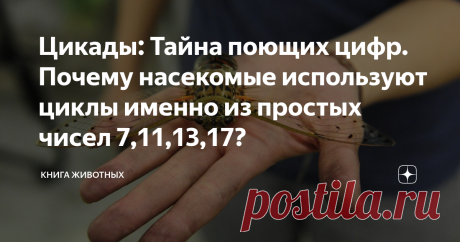 Цикады: Тайна поющих цифр. Почему насекомые используют циклы именно из простых чисел 7,11,13,17? Загадка биологии на стыке конспирологии и нумерологии.